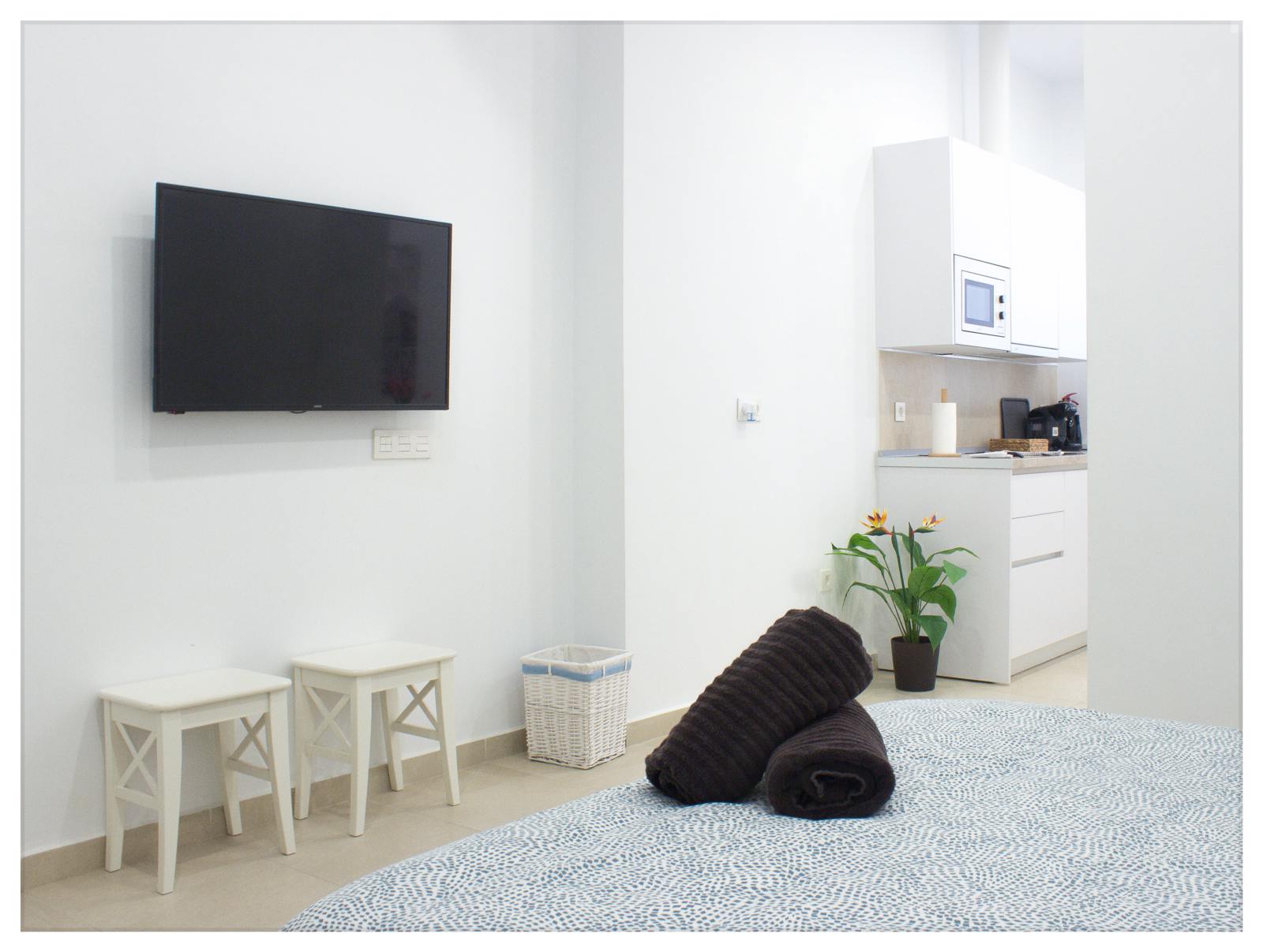 Holiday rental apartaments in Málaga. Apartments in the city center and El Palo beach. The best location in Málaga. - Estación centro VIALIA 1