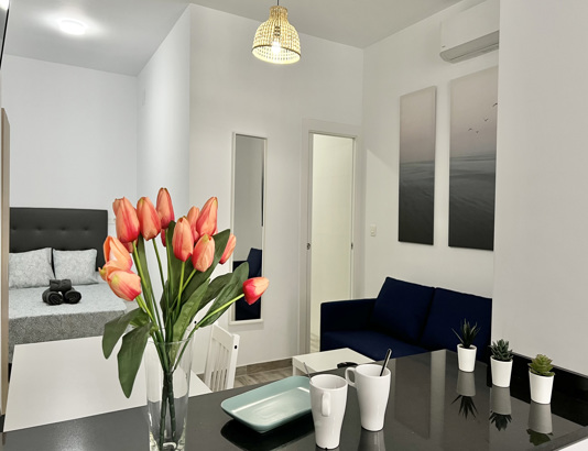 Enjoy the best apartments in Málaga. Holiday rental properties. Visit Los Tilos Suites Estudio 3