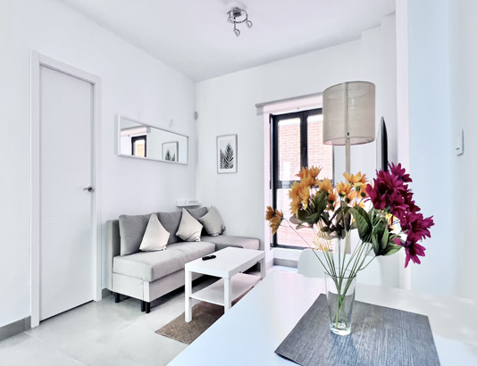 Enjoy the best apartments in Málaga. Holiday rental properties. Visit CIRCO 6